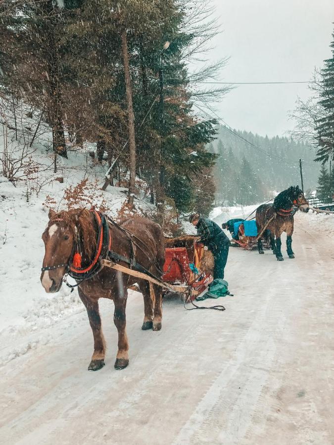 Apartamenty Przy Strumyku Szczawnica Esterno foto